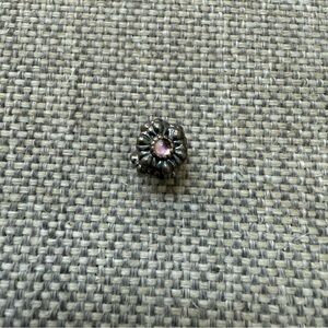 Pandora February Birthday Blooms Charm